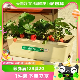阳台种菜盆塑料长方形，草莓盆家庭专用种菜神器，室内盆栽蔬菜种植
