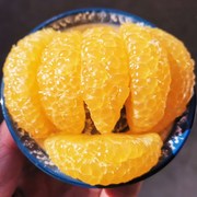 鲜农惠老树胡柚大果5斤当季新鲜水果常山特产黄心西柚小柚子