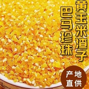 广西巴马长寿之乡玉米头玉米，渣小碴子新玉米(新玉米)糁粗粮煮粥3斤