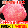 钰果香园新鲜山东烟台栖霞红富士脆甜苹果水果10苹果5斤整箱