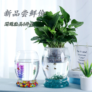 简约绿萝水培玻璃花瓶，水养植物花盆透明大号器皿，富贵竹瓶鱼缸插花