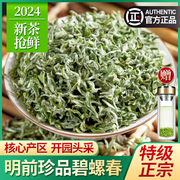 珍品碧螺春2024新茶明前特级6A正宗苏州绿茶嫩芽春茶散装茶叶250g