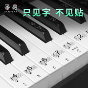 电子琴贴音符音标琴键贴五线谱简谱，钢琴键盘贴纸，88键61键54键透明