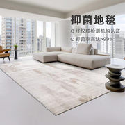 缔奢美意式抑菌地毯客厅轻奢高级环保抽象简约沙发茶几垫家用卧室