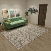 客厅地毯卧室北欧茶几地垫，ins毯现代简约轻奢家用风格垫水洗垫子