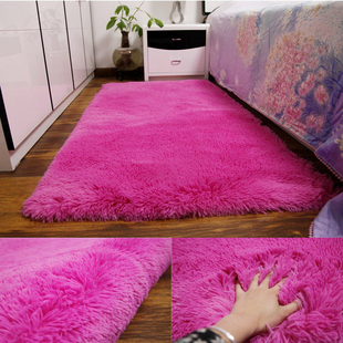 加厚可水洗绒毛地毯客厅，茶几卧室满铺可爱床边毯榻榻米地垫可定制