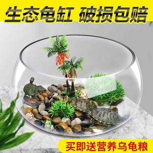 乌龟缸玻璃圆形办公桌水培，家用小鱼创意，透明小型迷你桌面龟缸造景
