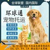 补运费宠物托运服务猫咪狗狗空运火专车汽运北京上海国际邮寄