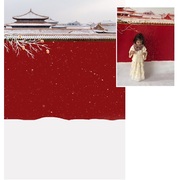 故宫红墙儿童拍照背景布室内写真古装背景亲子写真背景纸复古雪景