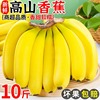 云南高山香蕉10斤新鲜当季水果，大芭蕉小米蕉甜香蕉皇帝蕉整箱