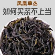 鸭屎香凤凰单枞茶叶乌龙茶潮州凤凰高山老枞乌岽单丛茶礼盒装散装