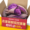 云南紫薯10斤新鲜板栗红薯番薯地瓜蜜薯山芋烟薯蔬菜农家自种
