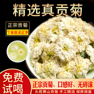 贡菊花茶黄山贡菊花茶花草茶泡水罐装白菊花药材