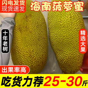海南菠萝蜜新鲜水果波罗黄肉，菠萝蜜一整个新鲜孕妇水果40斤