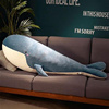 可爱鲸鱼毛绒玩具抱枕，女生睡觉夹腿床上男生，款公仔布娃娃大号
