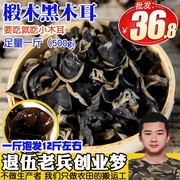 东北黑木耳秋耳小碗耳长白山椴木老鼠耳干货500g非野生