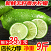 新鲜香水柠檬广东青柠檬新鲜当季水果奶茶店专用10
