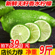 新鲜香水柠檬广东青柠檬新鲜当季水果奶茶店专用10
