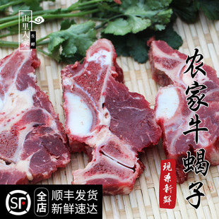 新鲜带肉牛蝎子500g 牛脊梁骨 牛大骨 牛骨头 新鲜牛肉牛尾