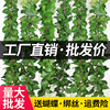 仿真葡萄叶假花藤条藤蔓，植物塑料绿萝树叶子绿叶下水管道装饰吊顶