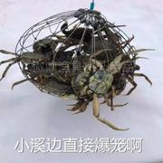 钓螃蟹笼毛蟹套垂钓大闸蟹河蟹钩海蟹圈钢丝自动开合笼鱼笼网