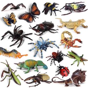 儿童科教仿真动物模型整蛊玩具昆虫摆件沙盘场景万圣节蜘蛛套装