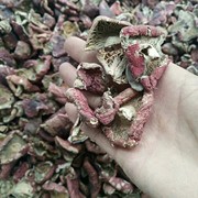 福建正宗野生红菇片红菇碎片，蓝底红菇小菇碎煲汤菇菌天然红椎菌片