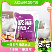 天润新疆特产酸奶生鲜，吸葡萄了风味，发酵乳160g*12袋