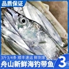 舟山带鱼 鲜带鱼海钓小眼新鲜大鱼整条鲜发野生海鱼 3斤3/4条