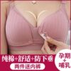 哺乳内衣女孕妇文胸聚拢防下垂怀孕期薄款纯棉喂奶母乳胸罩舒适浦