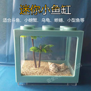 桌面系小宠物鱼缸斗鱼孔雀金苔鼠饲养盒儿童礼物小号可爱含造景缸