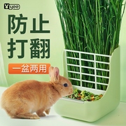 兔子食盆草架喂食器龙猫豚鼠，防打翻防扒浪费可固定食盒碗二合一