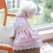 狗狗衣服宠物猫咪泰迪蕾丝，碎花春夏薄款连衣裙花朵，淑女小型犬裙子