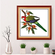可爱动物鹦鹉十字绣套件客厅卧室小件小鸟语花香手工自己线绣