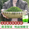 小叶苦丁茶特级青山绿水，四川峨眉山特产2024新茶叶(新茶叶)花草茶