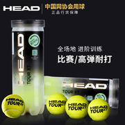 海德head黄金铁罐，比赛网球三个装大师杯，总决赛训练网球