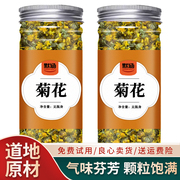 菊花中药材珍珠菊野菊米山菊花枕头可打菊花粉可泡水散装干货