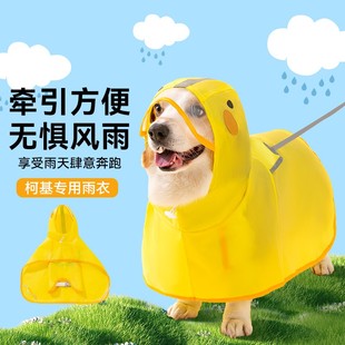 狗狗雨衣宠物防水中小型犬柯基泰迪，比熊春夏季雨天防脏神器可牵引