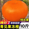 四川新鲜超甜青见果冻，橙10斤大果应当季水果整箱手剥橙甜橙子