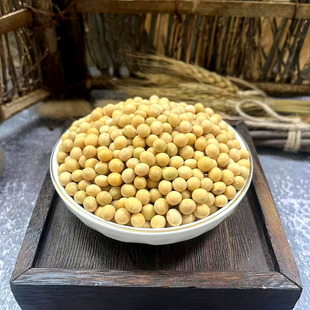 湖北当年新黄豆2500g五斤非转基因黄豆打豆浆专用大豆农家自种黄