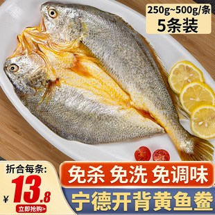 宁德黄鱼鲞(黄鱼鲞)5条黄花鱼，新鲜冷冻小黄鱼，海鲜生鲜大黄鱼免杀免洗商用