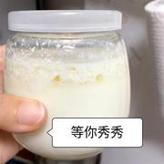 开菲尔菌种非雪莲藏灵菇自制酸奶发酵豆浆椰浆大颗粒母种不用过滤