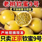 广西南宁钦蜜9号黄金百香果，水果新鲜当季整箱，黄花皮5斤鸡蛋果大果