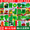 四季蔬菜种子菜园阳台盆栽西红柿，黄瓜辣椒豆角瓜果菜种籽种孑大全