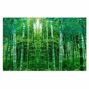 3大自然山水森林树林竹林风景电视背景墙纸壁画延伸空间壁纸墙布