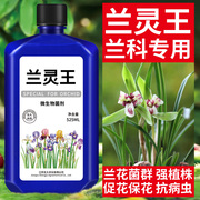 兰灵王兰花(王兰花，)专用营养液肥料em菌建兰蝴蝶兰，兰陵王兰花专用肥兰菌王