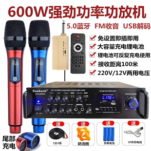 600W家用无线话筒功放一体机卡拉OK大功率会议蓝牙带USB功放机12V