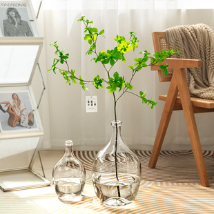仿真绿植马醉木玻璃花瓶高级感摆件客厅透明插花水养吊钟落地花瓶