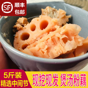 湖北新鲜粉藕 洪湖深水藕煲汤面藕炖汤糯米藕现挖现发5斤