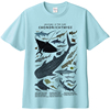 软骨鱼短袖t恤鲨鱼鳐鱼，海洋动物水族馆科普亲子，纯棉夏季体恤半袖